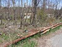 Vickie Lane, Monticello